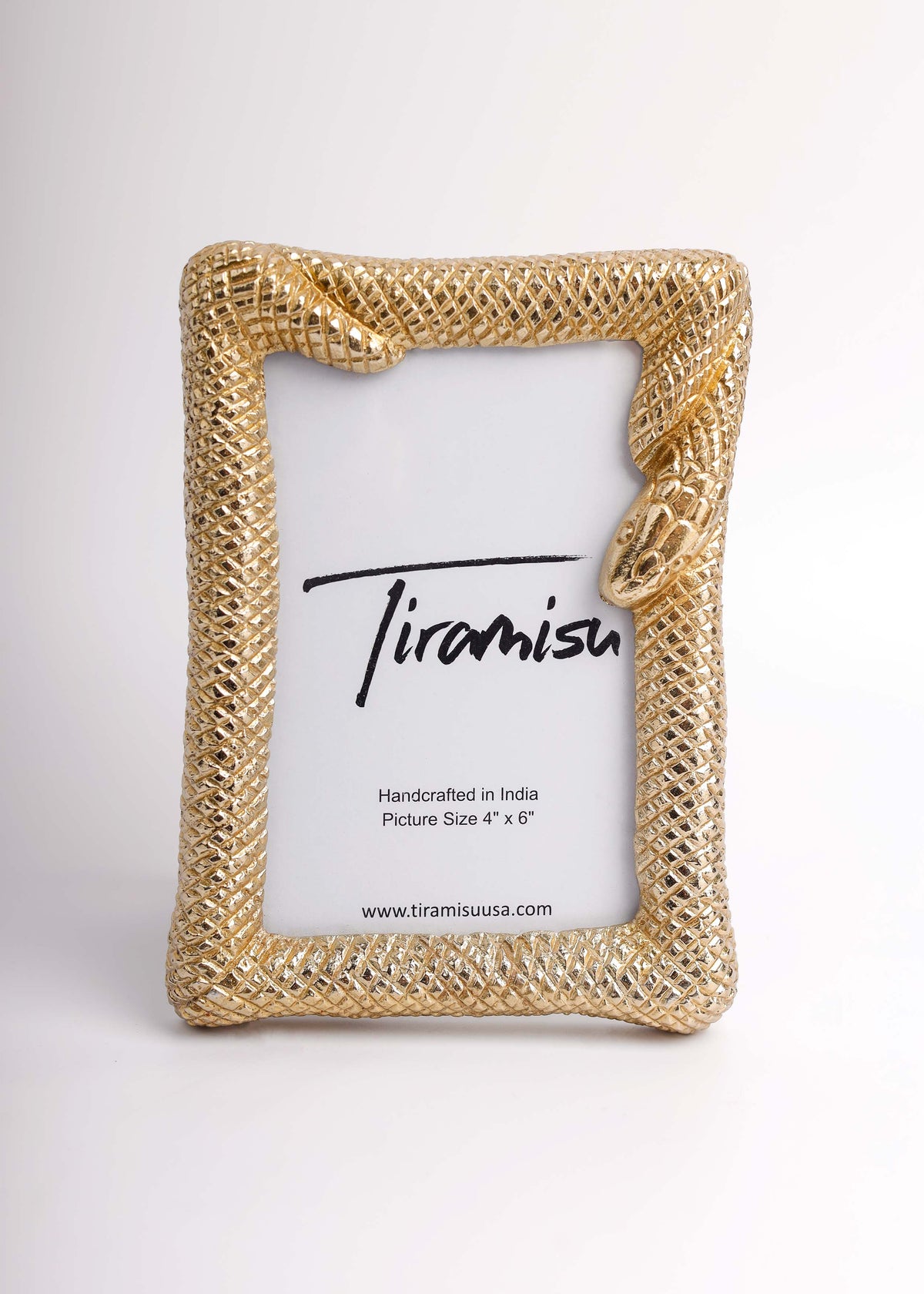 Serpentine Aluminum Picture Frame